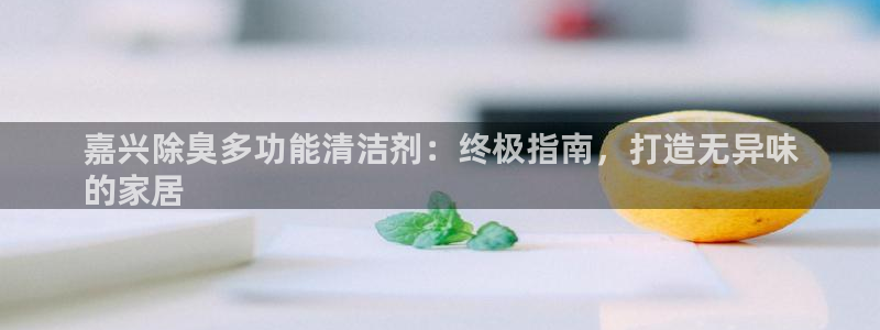 尊龙实业 吴友良：嘉兴除臭多功能清洁剂：终极指南，打造无