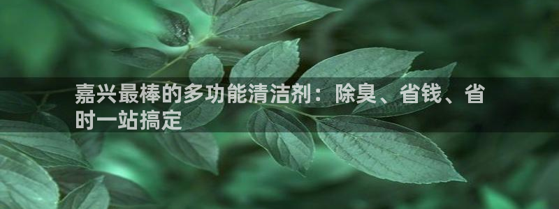 尊龙凯时这个平台怎么样：嘉兴最棒的多功能清洁剂：除臭、省