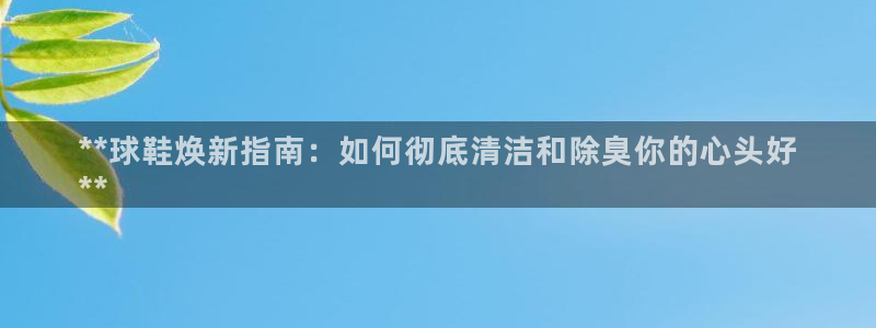 尊龙d88官网登录苹果版下载：**球鞋焕新指南：如何彻底