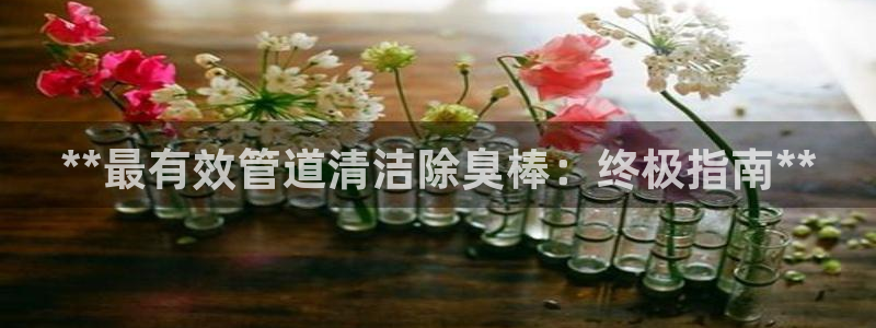 尊龙官网首页：**最有效管道清洁除臭棒：终极指南**