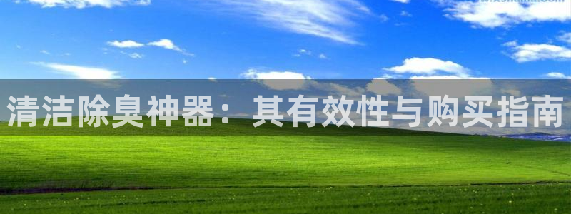 尊龙凯时 人生就是搏 平台：清洁除臭神器：其有效性与购买