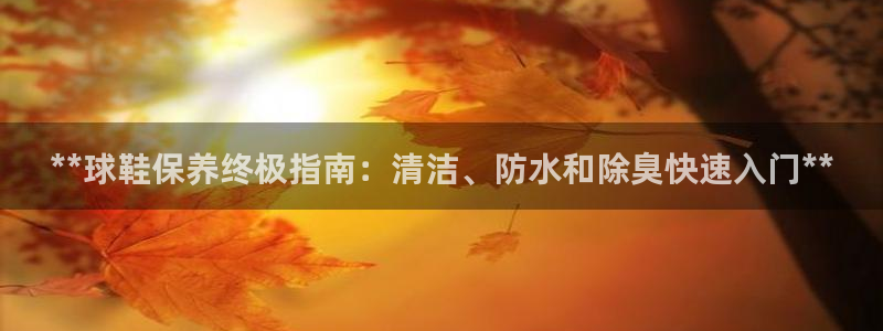 尊龙z6平台：**球鞋保养终极指南：清洁、防水和除臭快速