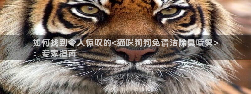 尊龙凯时官网入口：如何找到令人惊叹的<猫咪狗狗免清洁除臭