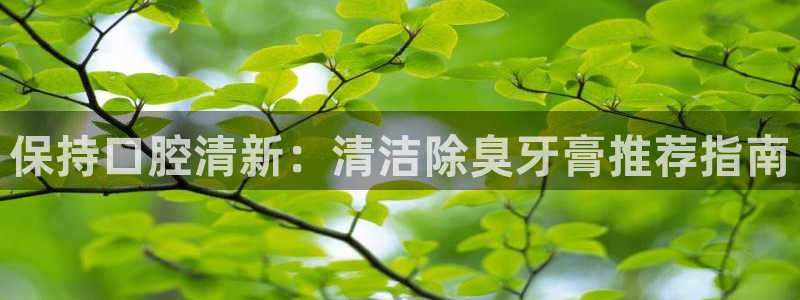 凯时app官方首页：保持口腔清新：清洁除臭牙膏推荐指南