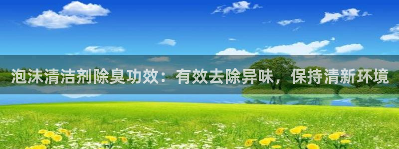 尊龙app官网登录：泡沫清洁剂除臭功效：有效去除异味，保