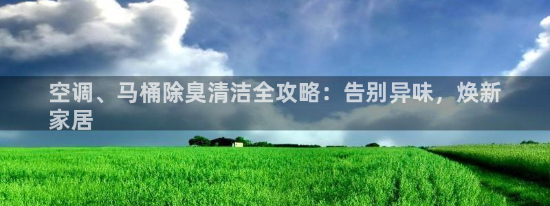 尊龙凯时是不是合法：空调、马桶除臭清洁全攻略：告别异味，