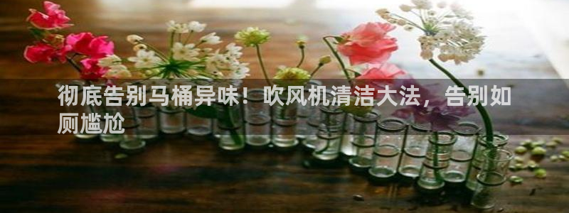 尊龙登录会员登录：彻底告别马桶异味！吹风机清洁大法，告别