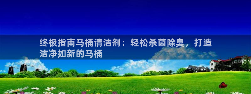 尊龙凯时人生就博官网登录：终极指南马桶清洁剂：轻松杀菌除