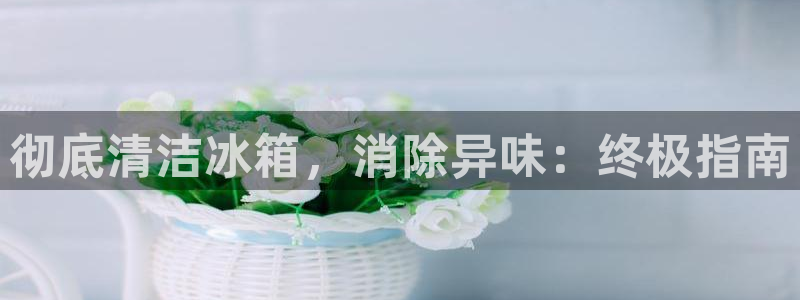 尊龙Ag：彻底清洁冰箱，消除异味：终极指南