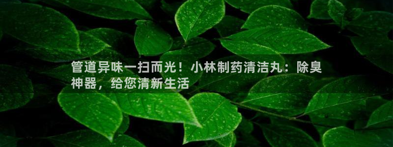 尊龙凯时一人生就是博官网：管道异味一扫而光！小林制药清洁