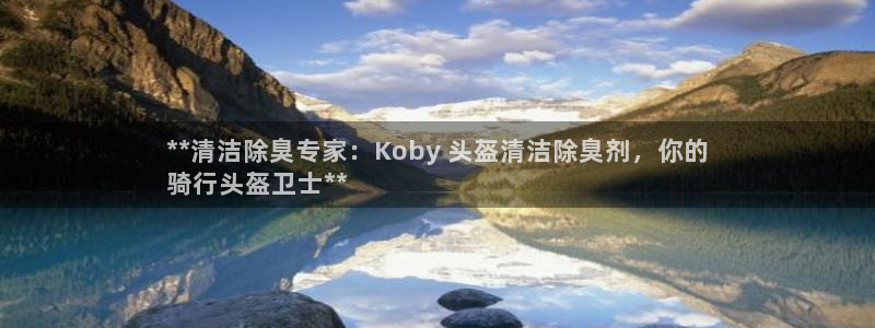 尊龙,人生就是搏：**清洁除臭专家：Koby 头盔清洁除