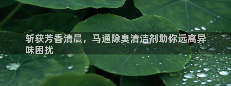 尊龙凯时官网网址：斩获芳香清晨，马通除臭清洁剂助你远离异